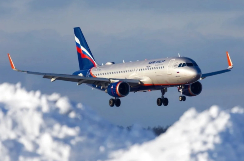 Moskvadan Bakıya uçan təyyarə quşlarla toqquşub qayıtdı