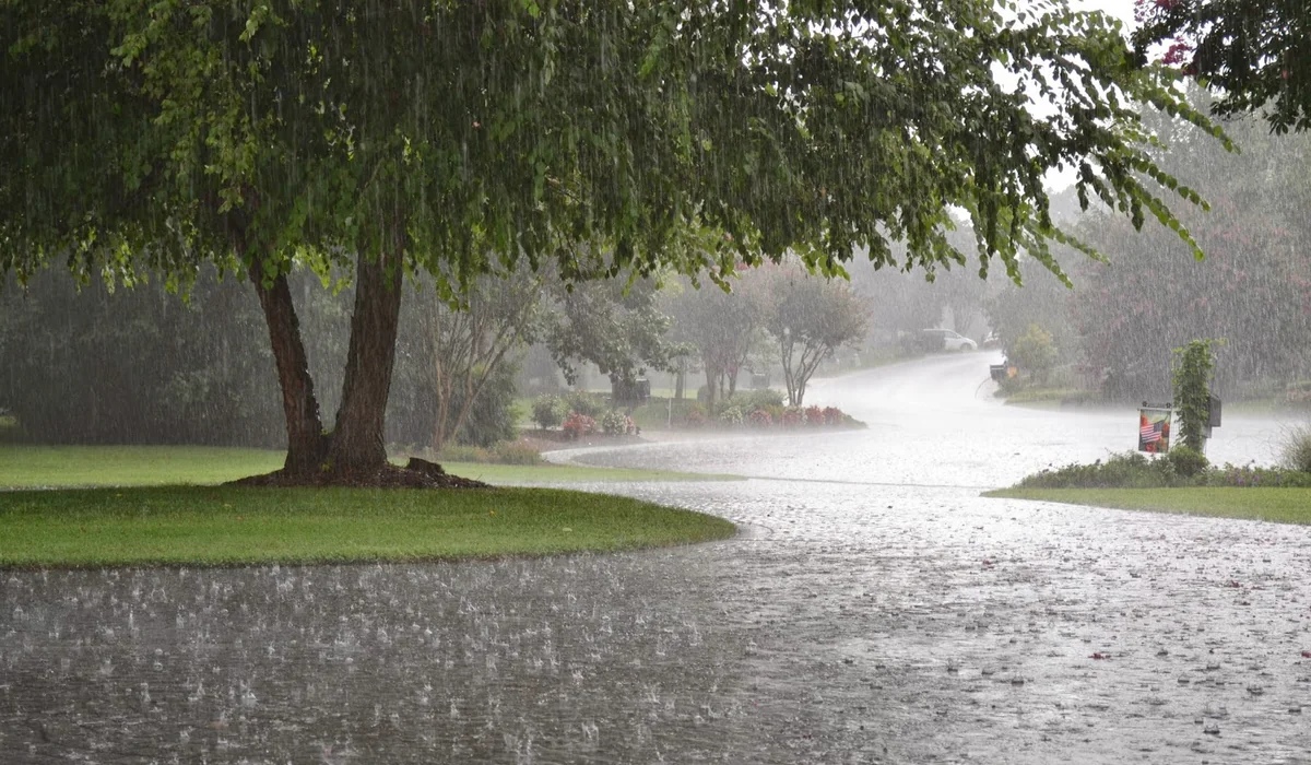 Bəzi ərazilərə yağış yağır - FAKTİKİ HAVA