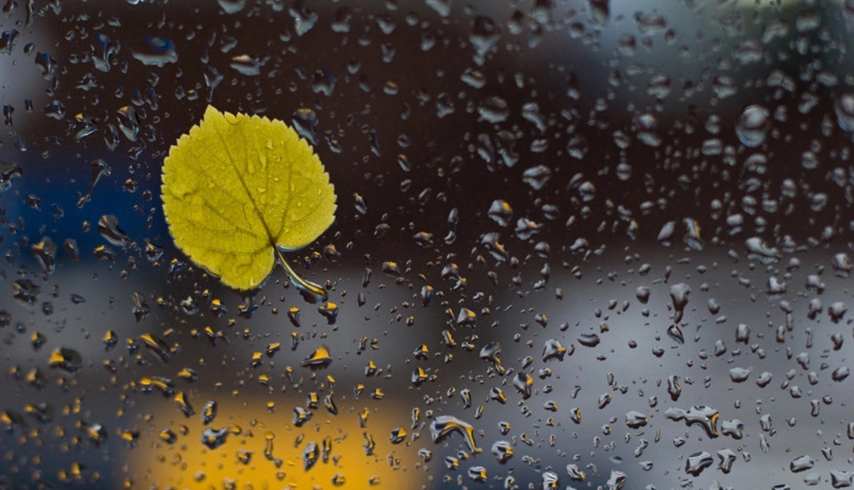 Azərbaycanda yağıntı intensivləşəcək - XƏBƏRDARLIQ