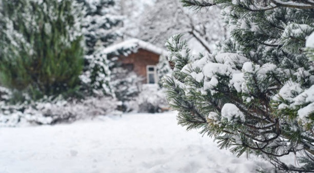 Dağlıq ərazilərə qar yağacaq