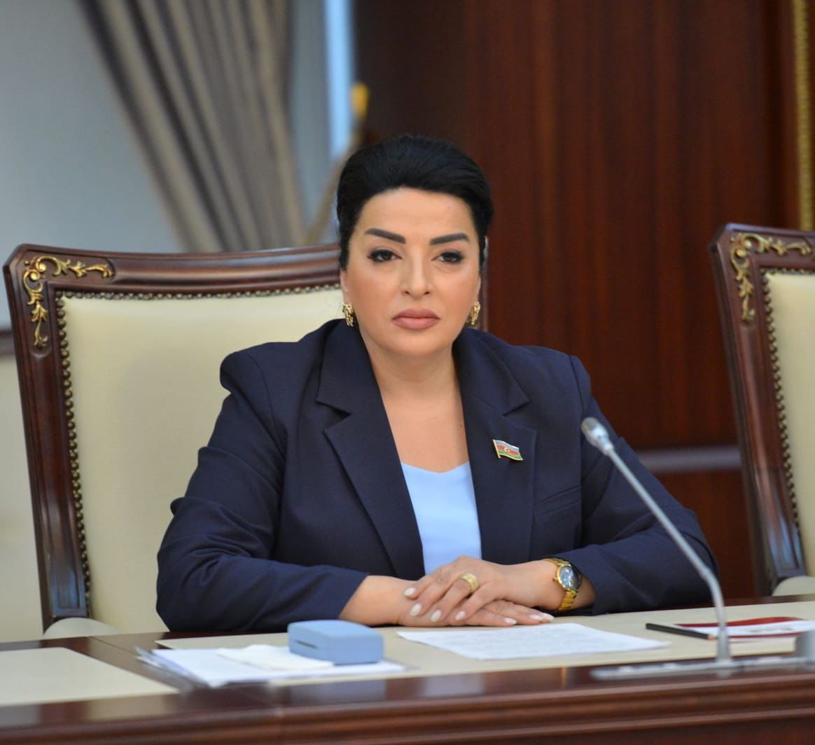 Deputat: Qanunsuz tikinti fəaliyyətlərinin təbii balansı pozması daşqın riskini artırır