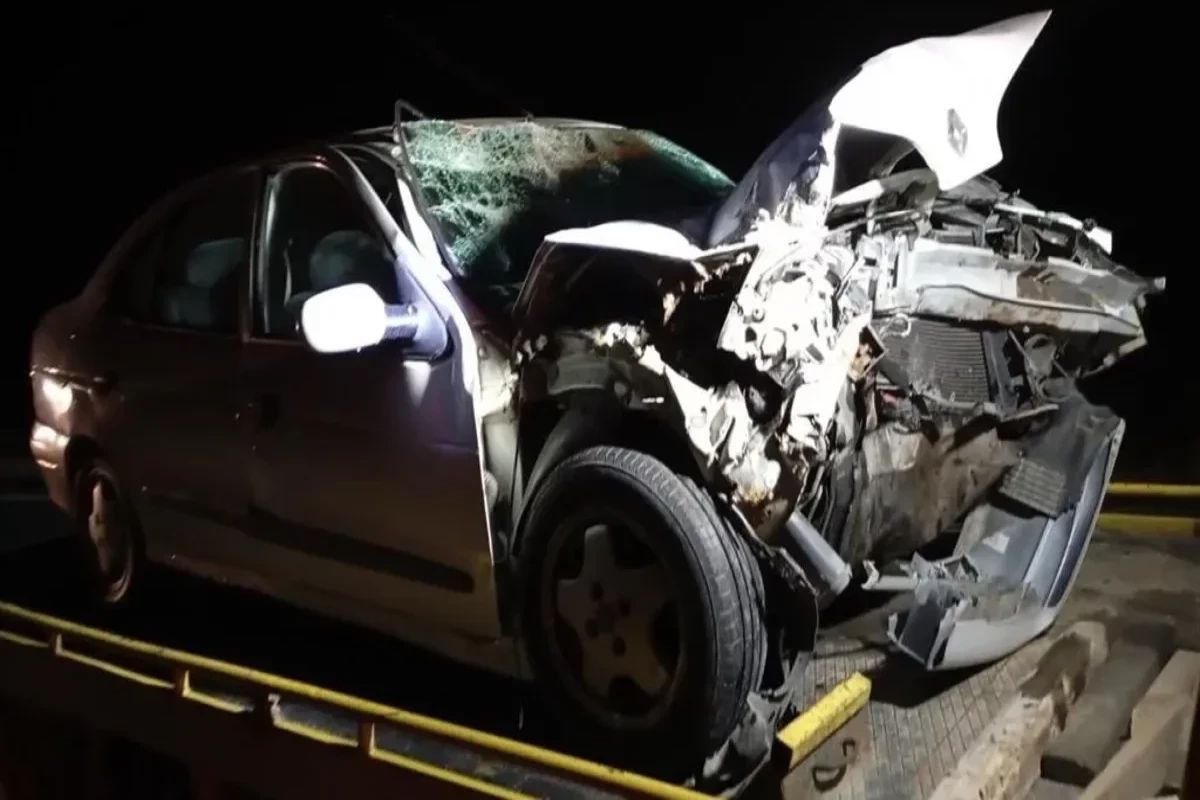 Zaqatalada maşınlar toqquşdu - Xəsarət alanlar var