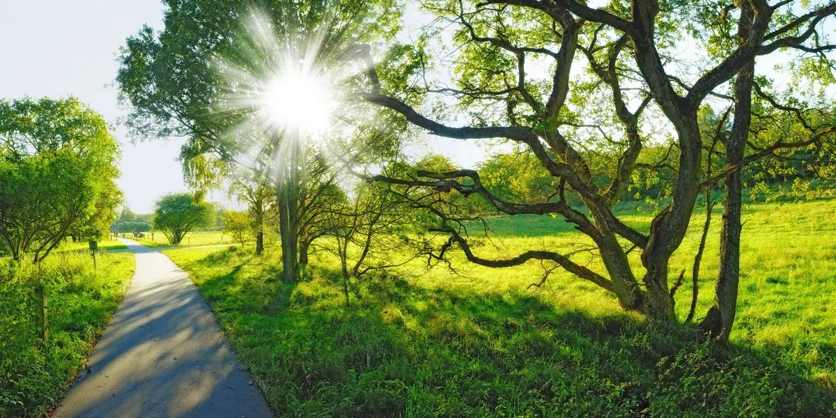 Aprel ayına olan hava proqnozu açıqlanıb