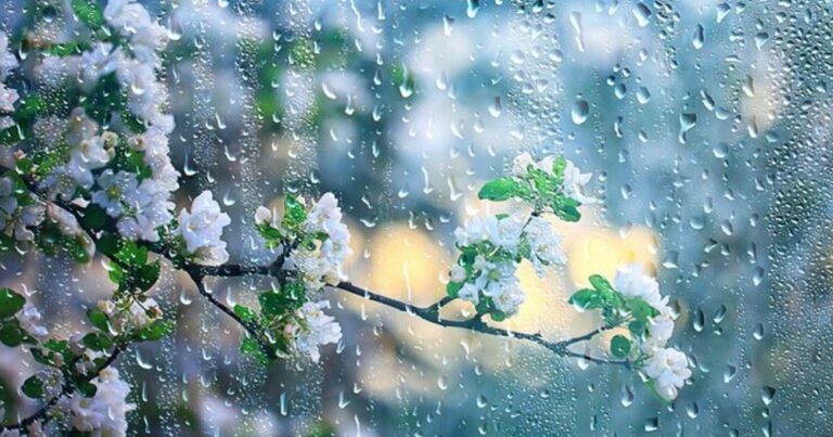 Bəzi yerlərdə intensiv və güclü yağıntılar olub, dağlara qar yağıb