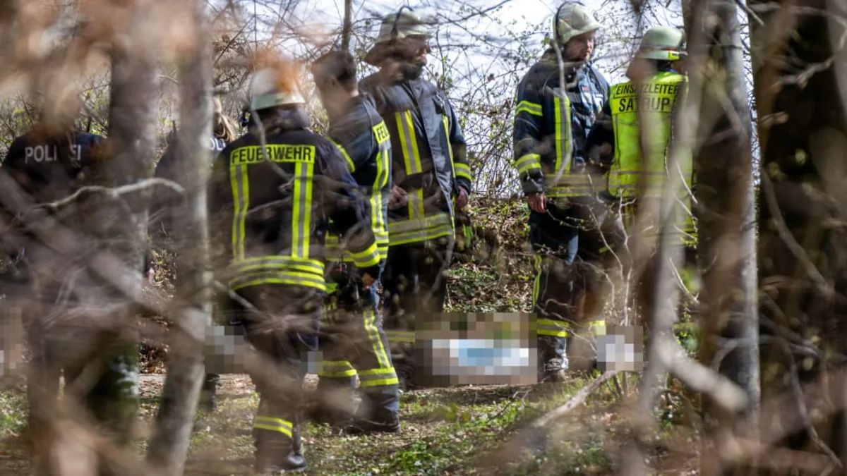 Almaniyada güclü külək ağacı aşırıb, üç nəfər ölüb