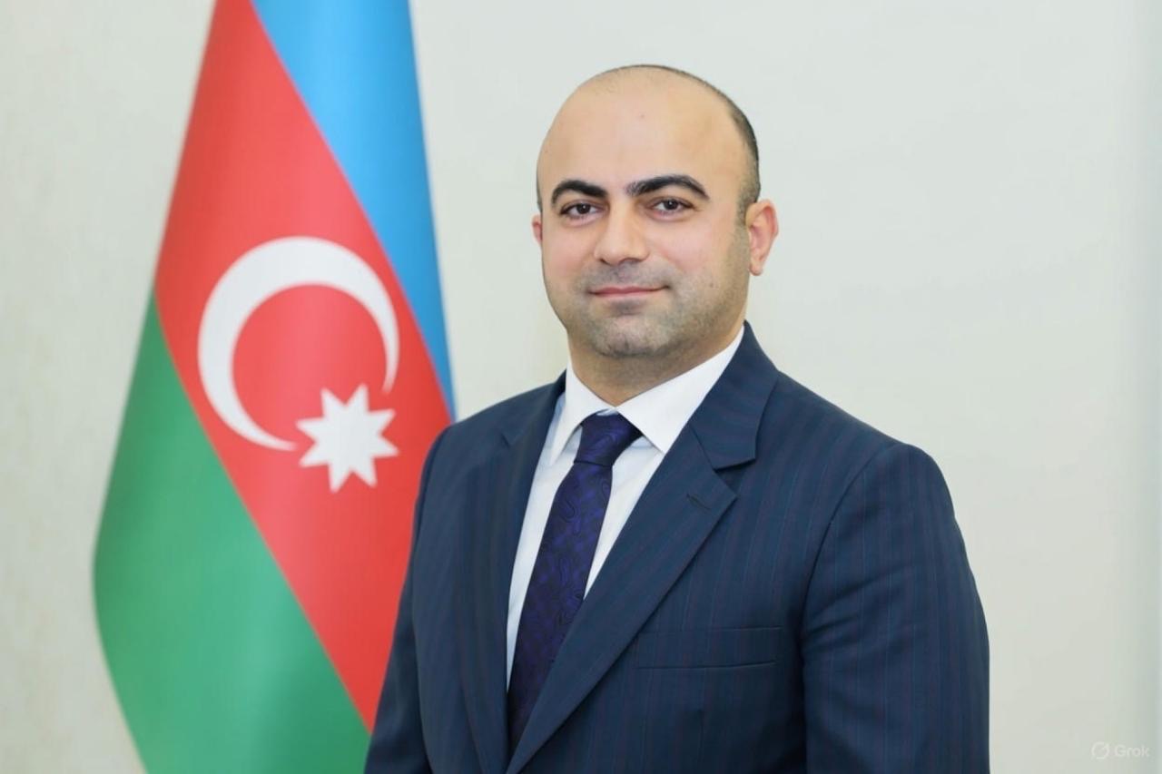 Kollec təhsili sürətli ixtisaslaşma platformasına çevrilməlidir