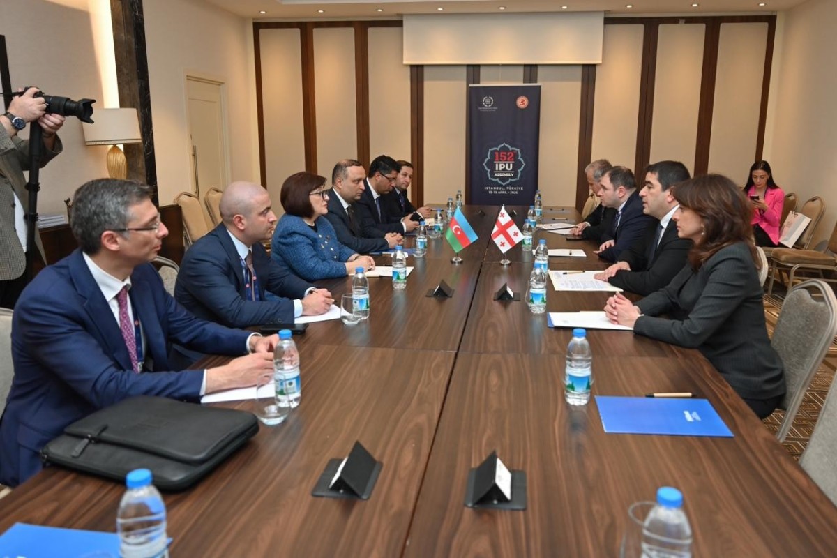 Sahibə Qafarova Gürcüstan parlamentinin sədri ilə görüşüb - FOTO