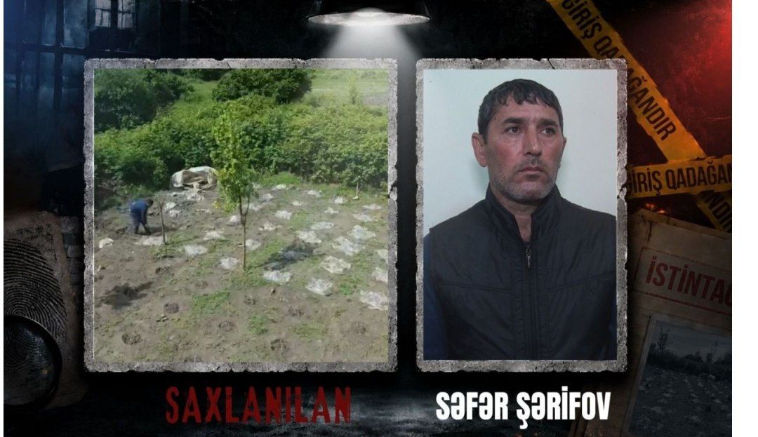 Balakəndə narkotik plantasiyası aşkarlandı - VİDEO