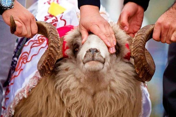 Qurban bayramında bunları etməyin