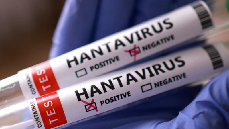 Ai hantavirusa qarşı hərəkətə keçdi: Peyvənd və müalicələr hazırlanır