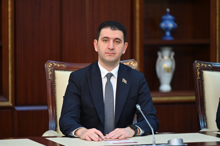 "Vətəndaş kol-kosu təmizləməyə çalışanda müxtəlif cərimələrlə üzləşir" - Deputat
