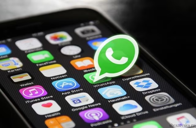 “WhatsApp” ödənişli olur? - Yeni abunə xidməti istifadəyə verildi