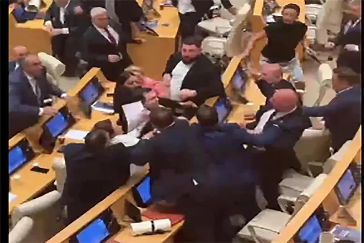 Gürcüstan parlamentinin iclasında dava düşüb - VİDEO