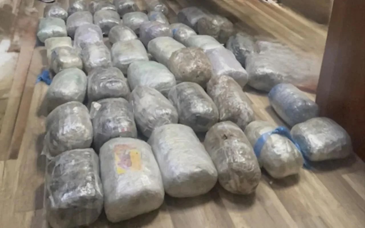 Bir gündə 34 kiloqramdan çox narkotik aşkarlanıb