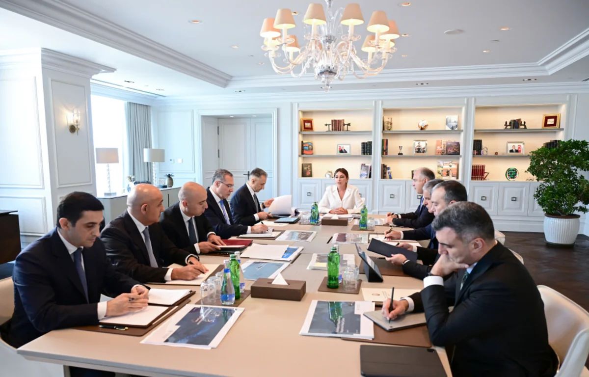 Birinci vitse-prezident Mehriban Əliyevanın sədrliyi ilə Rəqəmsal İnkişaf Şurasının ilk iclası keçirilib - FOTO