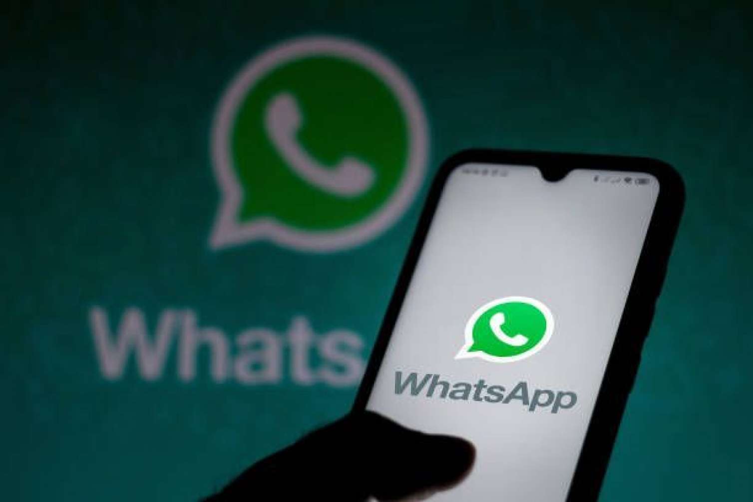 "WhatsApp"da yenilik: Telefon nömrəniz görünməyəcək
