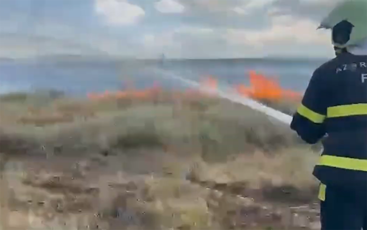 Qazaxda taxıl sahəsində yanğın - Video