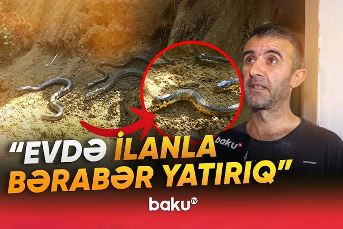 Binəqədidə torpaq sürüşməsindən sonra evlər qəzalı vəziyyətdə - "Axşam ilanlar da gəlir" - VİDEO