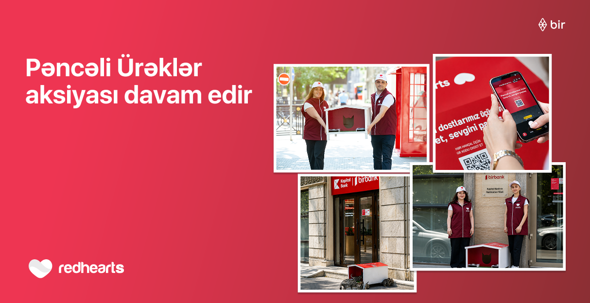 “Pəncəli Ürəklər” aksiyası çərçivəsində sahibsiz heyvanlar üçün yuvaların sayı 35-ə çatdı