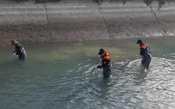 Nicatın axtarışları davam edir - Video
