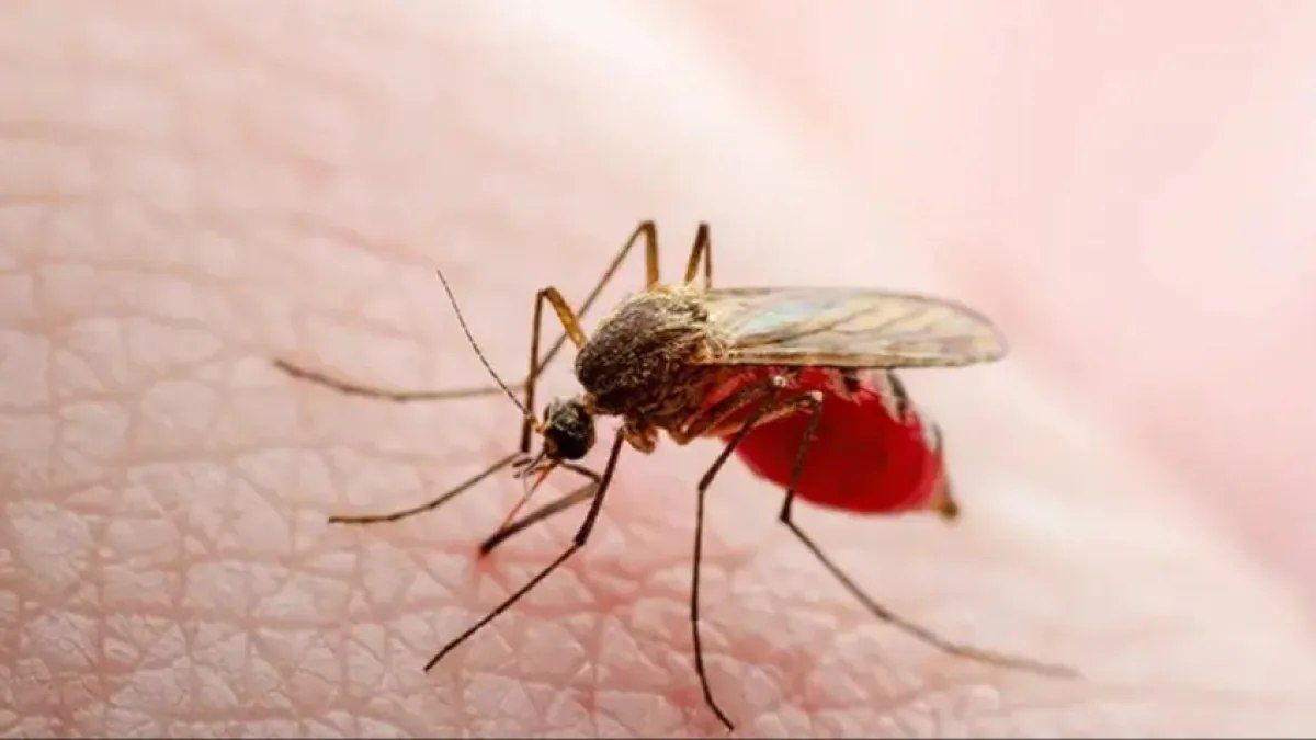 Avropada təhlükəli virus yayılır - 6 nəfər öldü