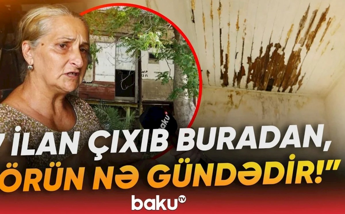 "O qədər bərbad vəziyyətdədir ki, evdən yeddi ilan çıxıb" - Neft milyonçusunun Mərdəkandakı mülkü baxımsız halda - VİDEO