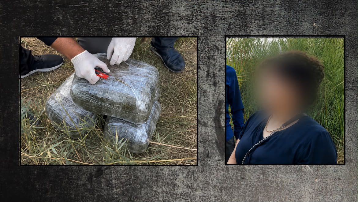 İmişlidə 10 kiloqram narkotik dövriyyədən çıxarıldı