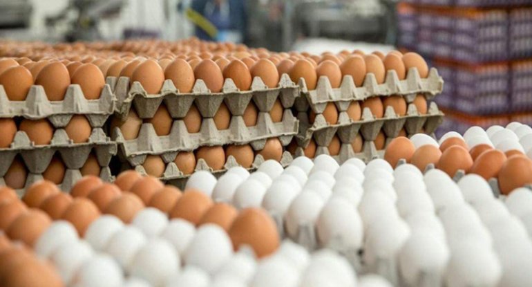 Salmonella epidemiyası: 8 ölkədə yumurtalar satışdan yığışdırılır