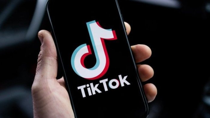 Tiktokda söyüş söyən tələbə qız saxlanıldı