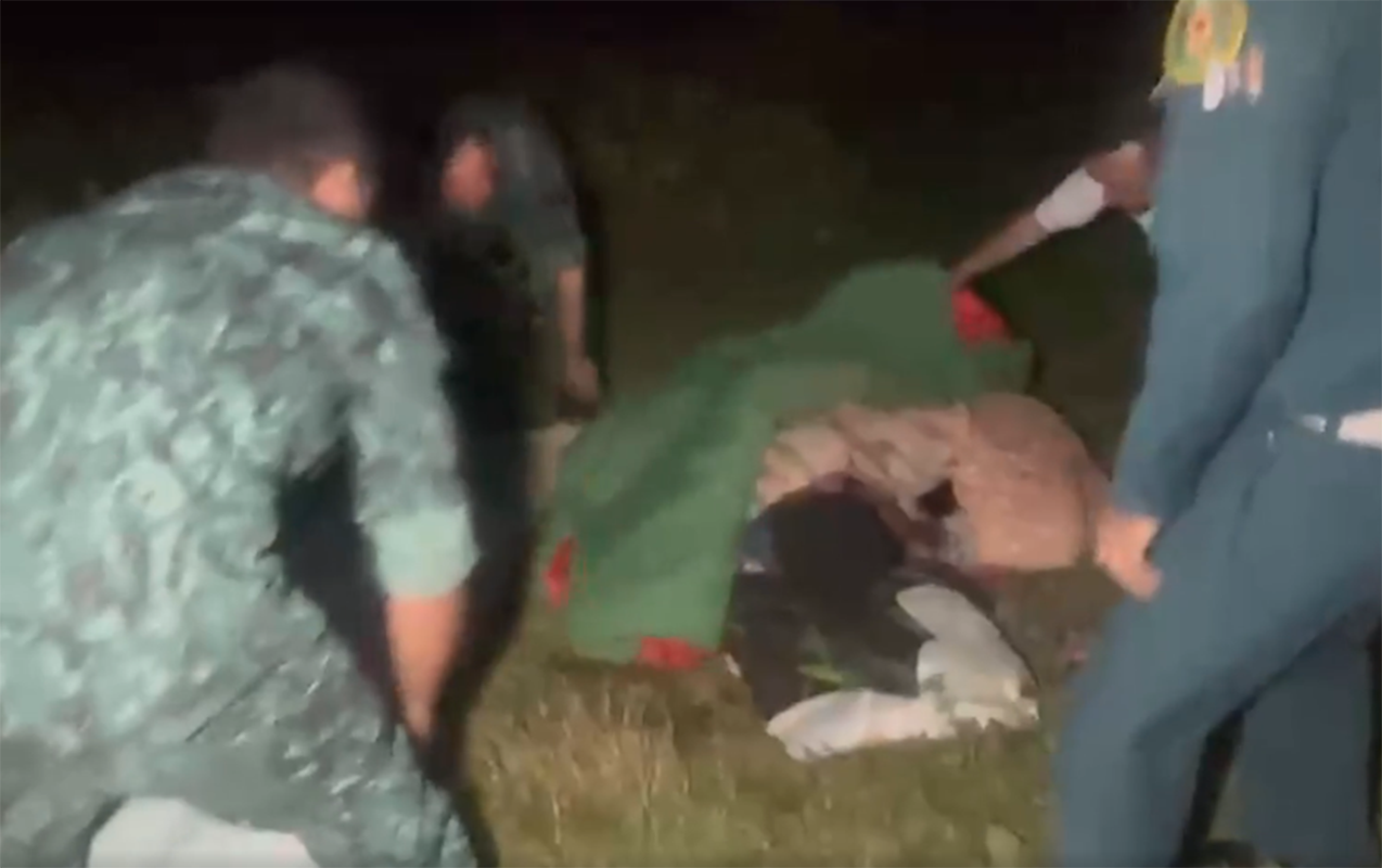 Şəkidə Niderlandlı qadına itlər hücum etdi - Belə xilas olundu - Video