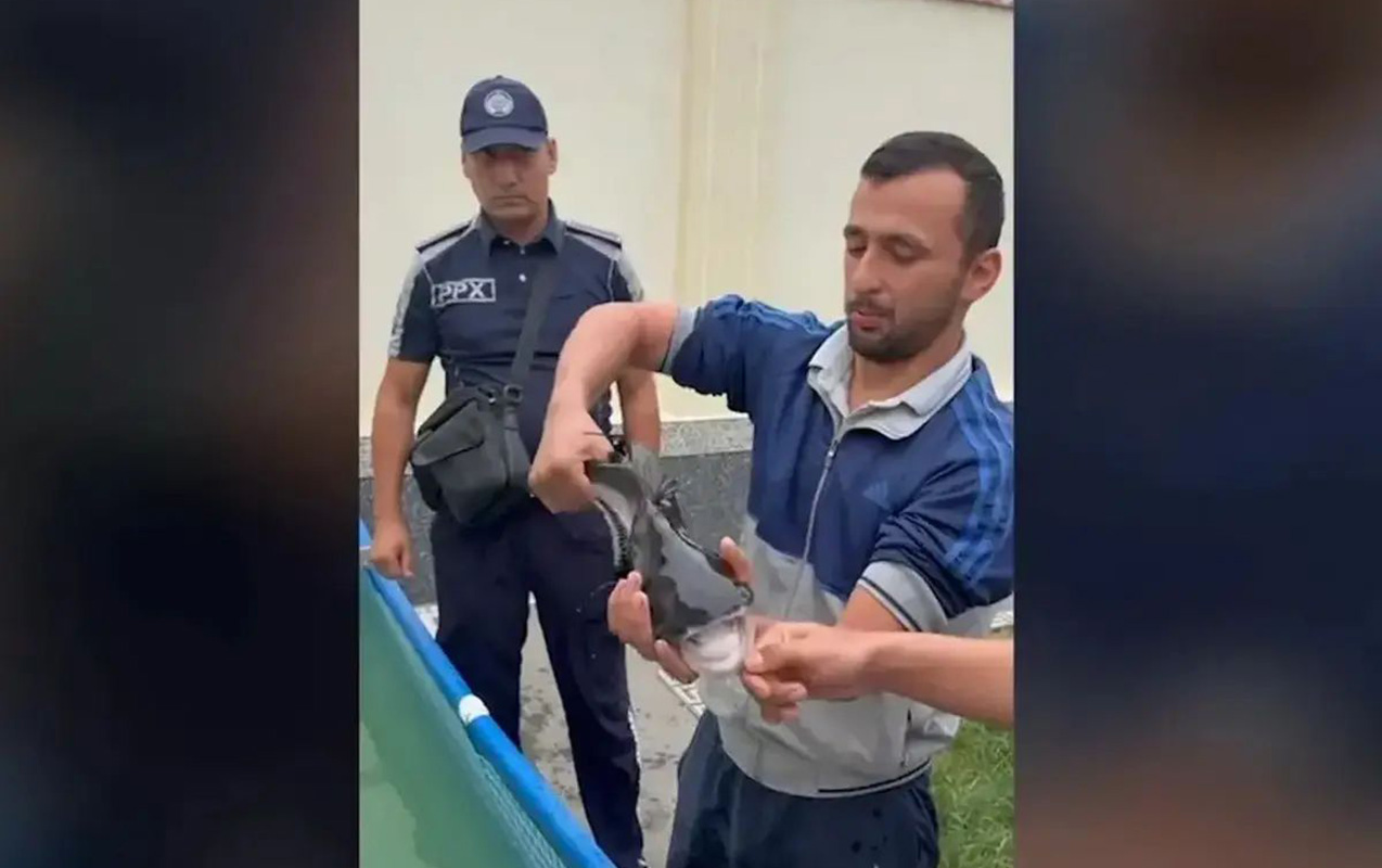 Zirzəmidə köpəkbalığı saxladığı iddia edildi