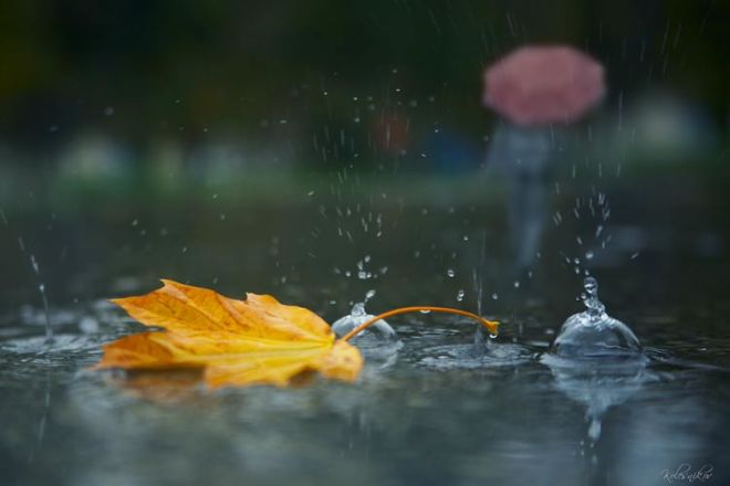Bəzi yerlərə leysan yağır, güclü külək əsir