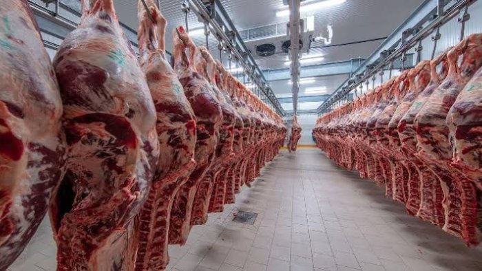 Dünyada mal əti istehsalı azalacaq – PROQNOZ