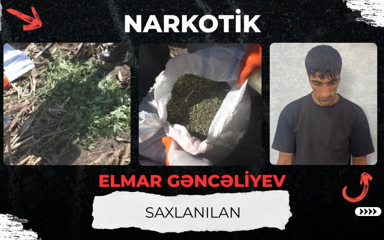 Qarğıdalı sahəsində narkotik əkdi