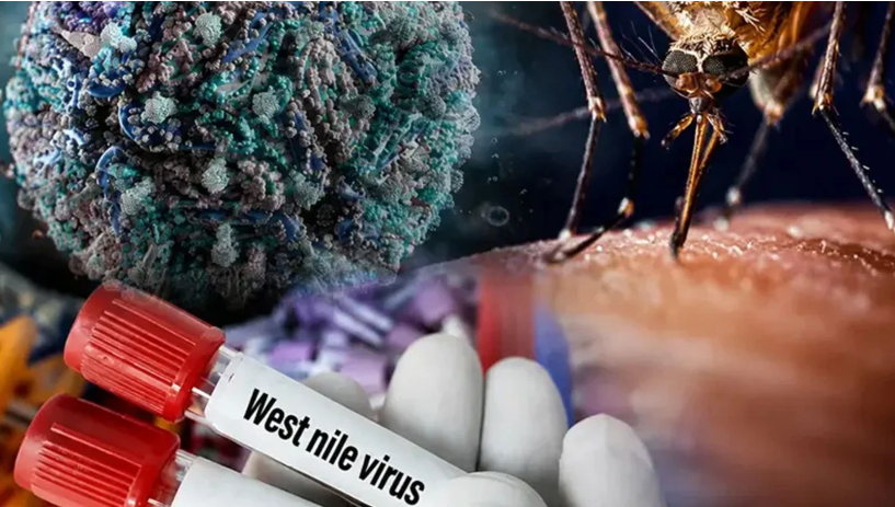 Yunanıstanda virus həyəcanı: Bir həftədə 34 yeni yoluxma
