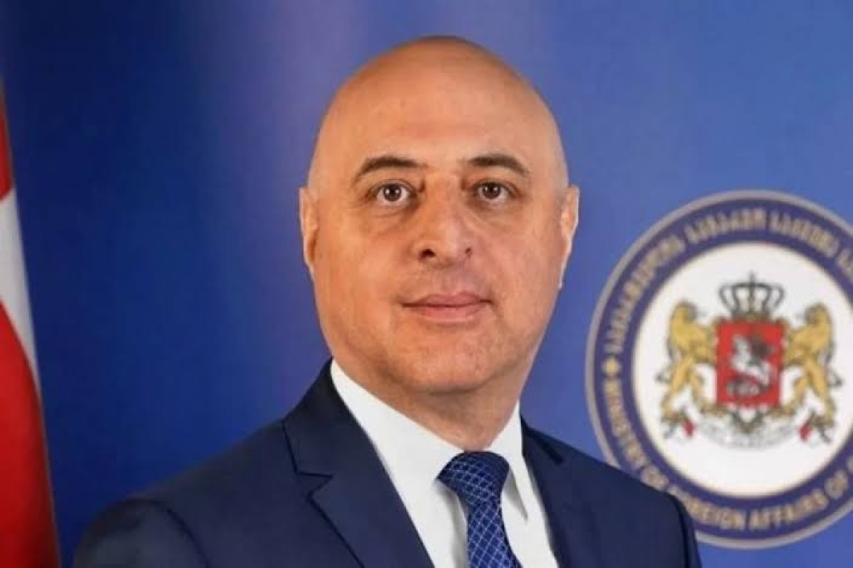 Gürcüstan Azərbaycana yeni səfir təyin etdi