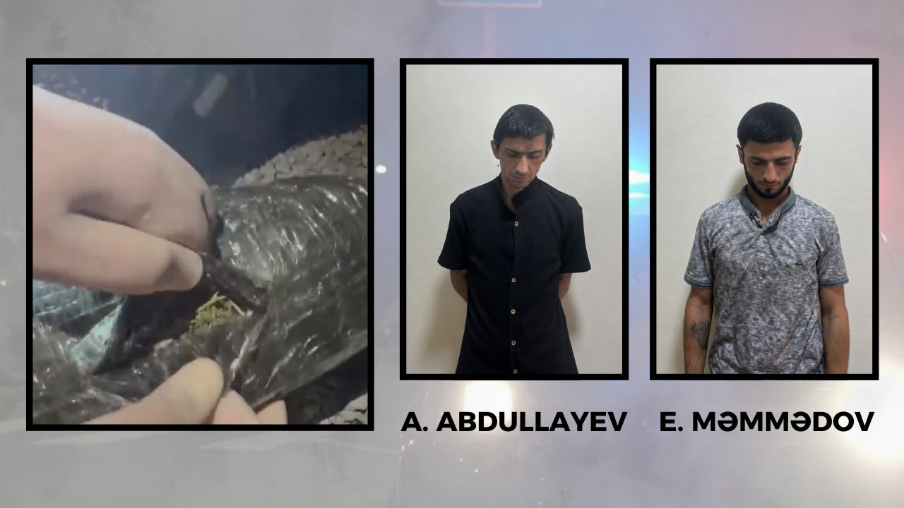 Göyçayda 3 kiloqramdan artıq narkotik vasitə aşkarlandı