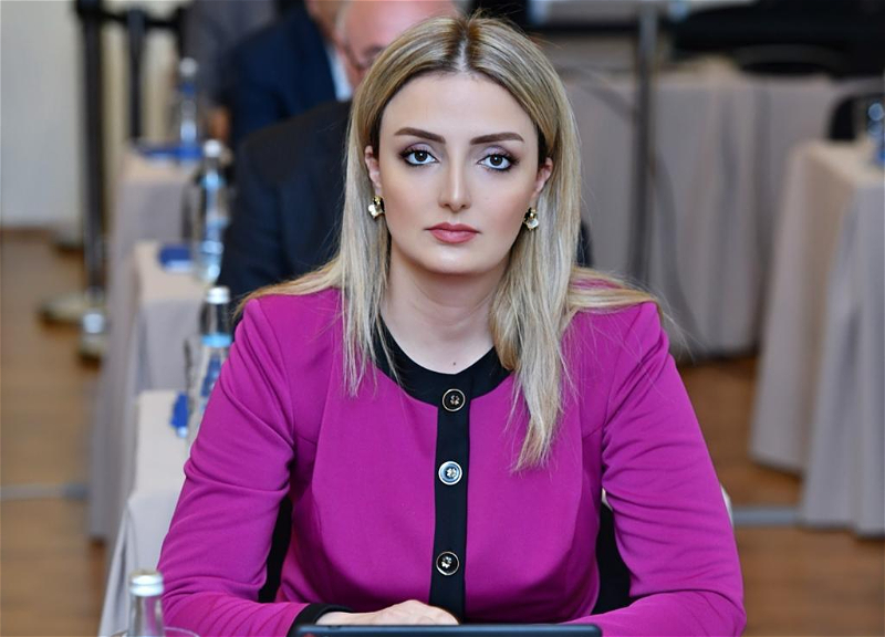 “Süni intellekt insanı əvəz etməməlidir” – Deputat