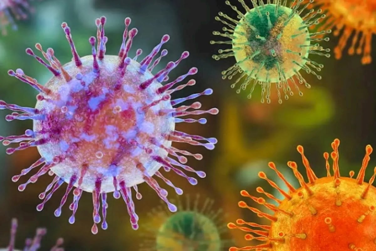 Ukraynada virus həyəcanı: Sürətlə naməlum infeksiya yayılır