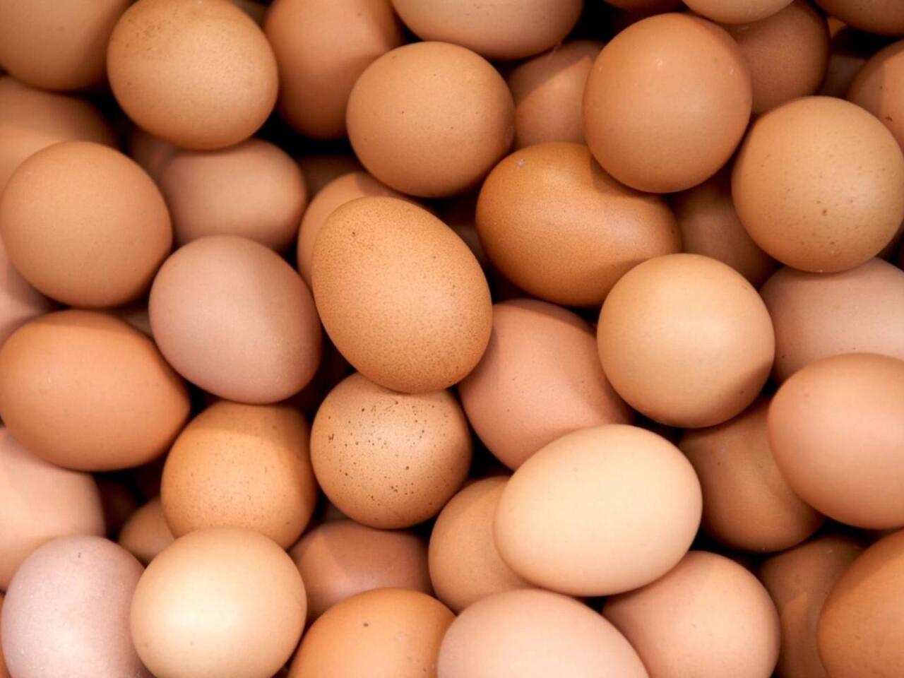Azərbaycanda kənd yumurtasının qiyməti kəskin artdı