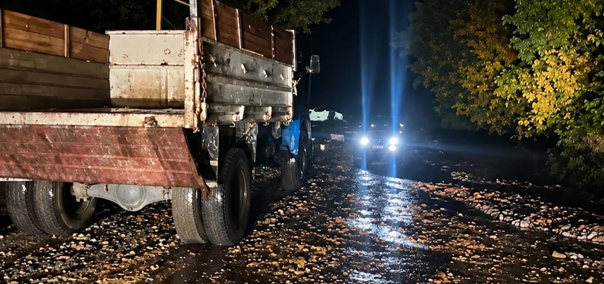 Ordubadın Dırnıs kəndindən sel keçib