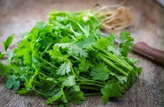 Bu bitki sümükləri gücləndirir və sınıq riskini azaldır