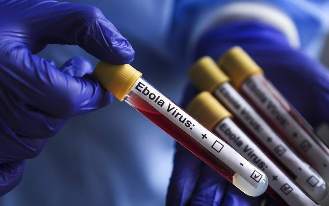 Ebolaya yoluxanların yarısı ölüb - ÜST-dən həyəcan təbili